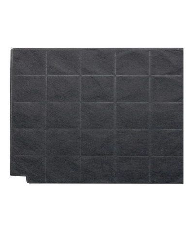 FILTRO AFCFCAF97CS (AIRF)