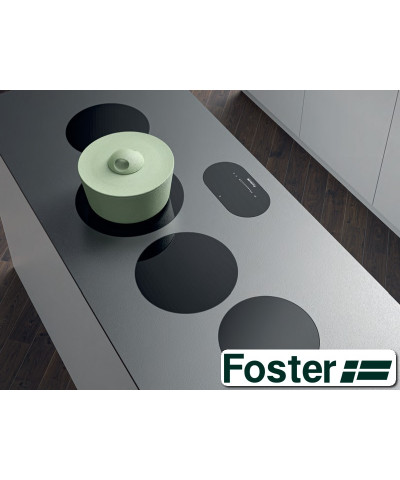 MODULAR INDUCTION 7366040 (FOST)