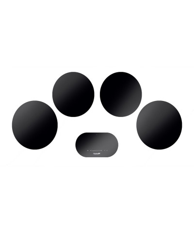 MODULAR INDUCTION 7366040 (FOST)