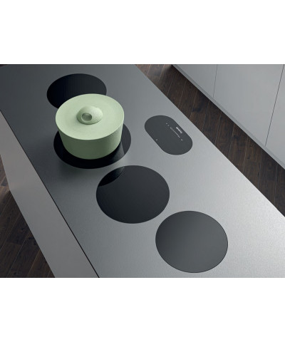 MODULAR INDUCTION 7366040 (FOST)