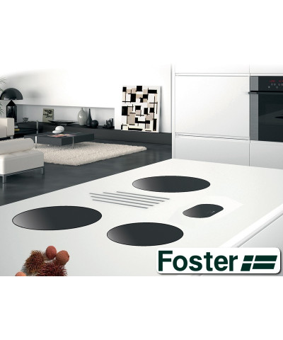MODULAR INDUCTION 7366030 (FOST)