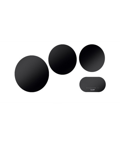 MODULAR INDUCTION 7366030 (FOST)