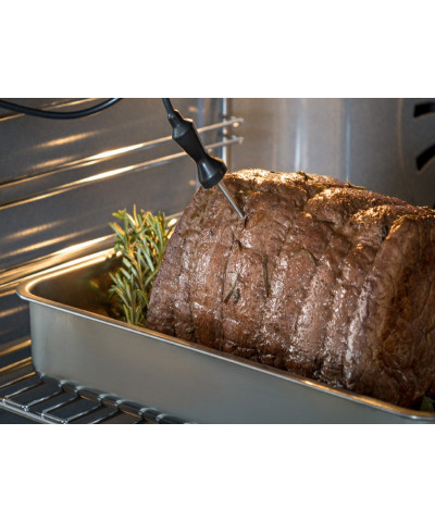 FORNO F30PROXT (BERT)