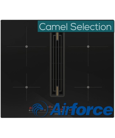 PIANO ARTIS PRIMA 60 (AIRF)